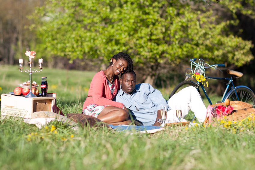 Romantic Picnic Engagement 