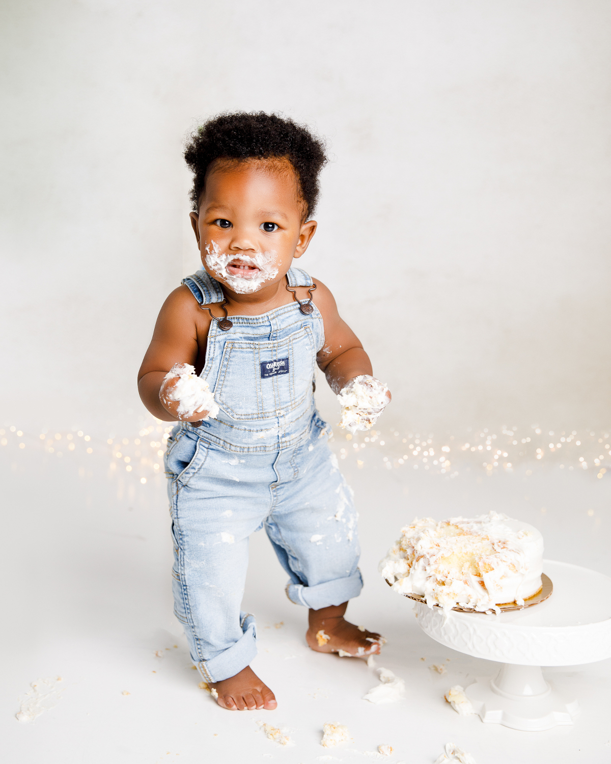 cake smash photographer in maryland virginia washington dc